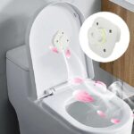 Toilet sterilizer