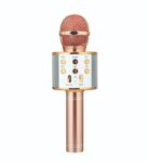 WIRELESS-MICROPHONE-SPEAKER-Karaoke-MIC12-Versatile-Microphone-with-a-Integrated-Speaker.jpg